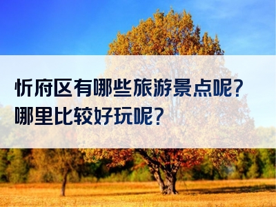 忻府区有哪些旅游景点呢？哪里比较好玩呢？