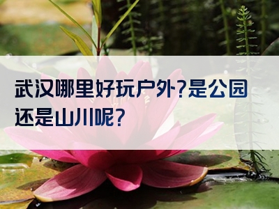 武汉哪里好玩户外？是公园还是山川呢？