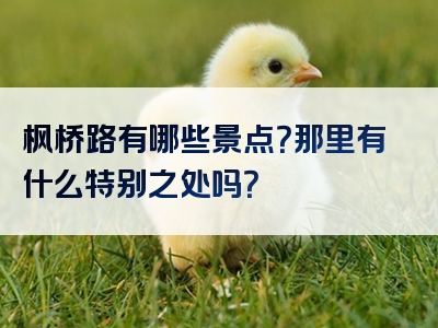 枫桥路有哪些景点？那里有什么特别之处吗？