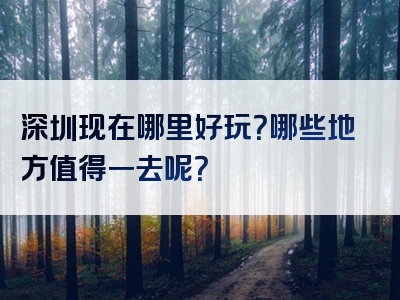 深圳现在哪里好玩？哪些地方值得一去呢？