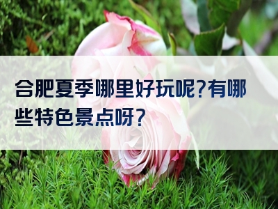 合肥夏季哪里好玩呢？有哪些特色景点呀？
