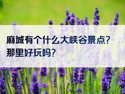 麻城有个什么大峡谷景点？那里好玩吗？