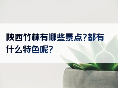 陕西竹林有哪些景点？都有什么特色呢？