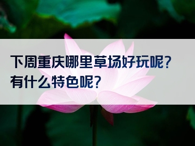 下周重庆哪里草场好玩呢？有什么特色呢？