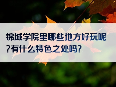 锦城学院里哪些地方好玩呢？有什么特色之处吗？