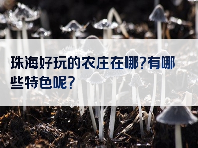 珠海好玩的农庄在哪？有哪些特色呢？