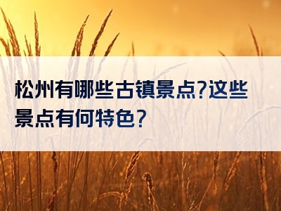 松州有哪些古镇景点？这些景点有何特色？