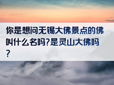 你是想问无锡大佛景点的佛叫什么名吗？是灵山大佛吗？