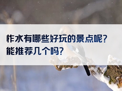 柞水有哪些好玩的景点呢？能推荐几个吗？