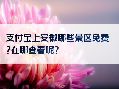 支付宝上安徽哪些景区免费？在哪查看呢？