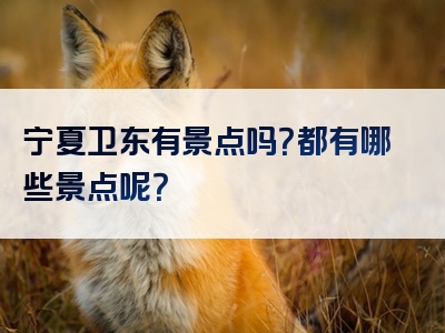 宁夏卫东有景点吗？都有哪些景点呢？