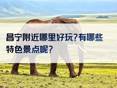 昌宁附近哪里好玩？有哪些特色景点呢？