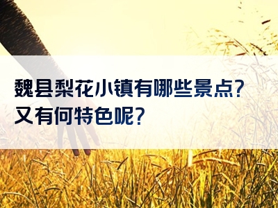 魏县梨花小镇有哪些景点？又有何特色呢？