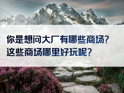 你是想问大厂有哪些商场？这些商场哪里好玩呢？