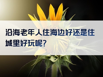 沿海老年人住海边好还是住城里好玩呢？
