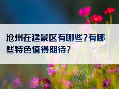 沧州在建景区有哪些？有哪些特色值得期待？