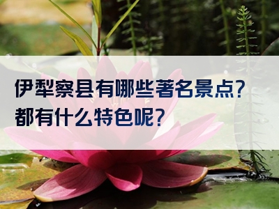 伊犁察县有哪些著名景点？都有什么特色呢？