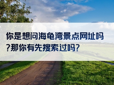 你是想问海龟湾景点网址吗？那你有先搜索过吗？