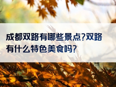 成都双路有哪些景点？双路有什么特色美食吗？