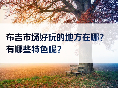 布吉市场好玩的地方在哪？有哪些特色呢？