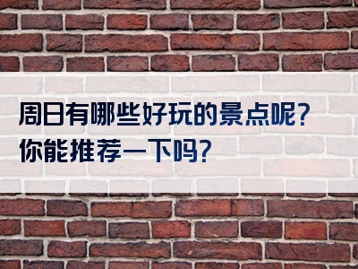 周日有哪些好玩的景点呢？你能推荐一下吗？