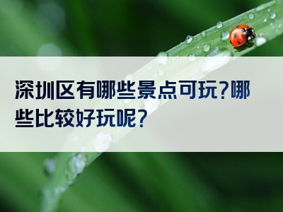 深圳区有哪些景点可玩？哪些比较好玩呢？