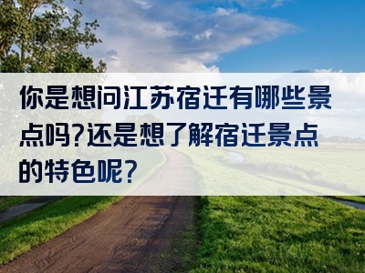 你是想问江苏宿迁有哪些景点吗？还是想了解宿迁景点的特色呢？