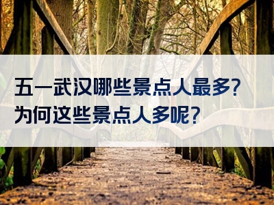五一武汉哪些景点人最多？为何这些景点人多呢？