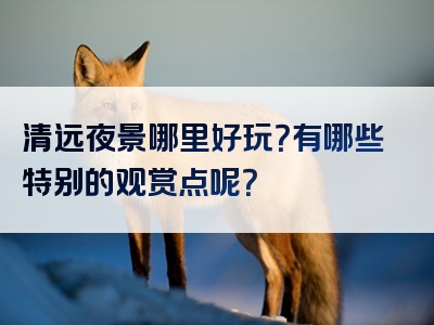 清远夜景哪里好玩？有哪些特别的观赏点呢？