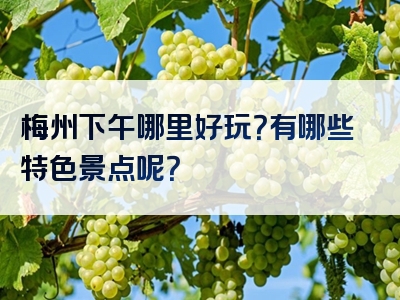 梅州下午哪里好玩？有哪些特色景点呢？