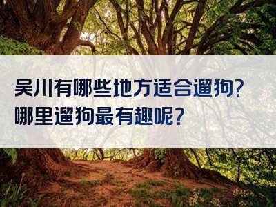 吴川有哪些地方适合遛狗？哪里遛狗最有趣呢？