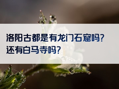 洛阳古都是有龙门石窟吗？还有白马寺吗？