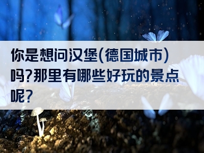你是想问汉堡（德国城市）吗？那里有哪些好玩的景点呢？