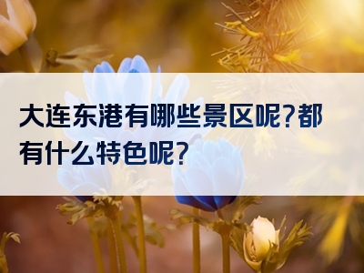 大连东港有哪些景区呢？都有什么特色呢？