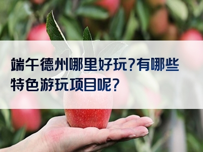 端午德州哪里好玩？有哪些特色游玩项目呢？