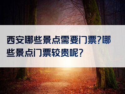 西安哪些景点需要门票？哪些景点门票较贵呢？