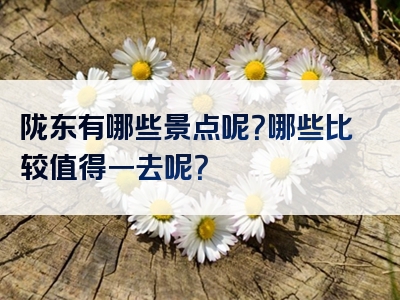 陇东有哪些景点呢？哪些比较值得一去呢？