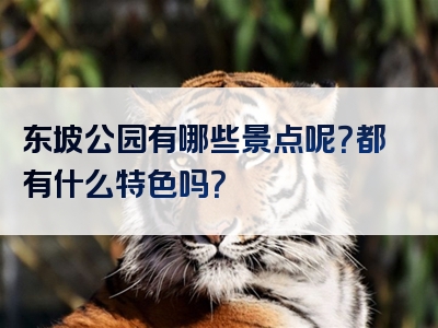 东坡公园有哪些景点呢？都有什么特色吗？