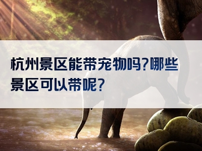 杭州景区能带宠物吗？哪些景区可以带呢？