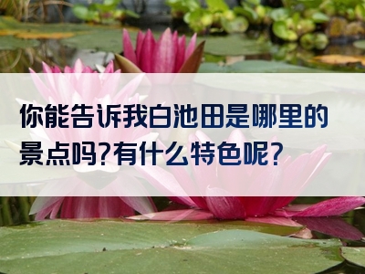 你能告诉我白池田是哪里的景点吗？有什么特色呢？