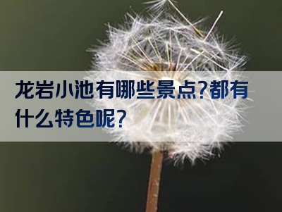 龙岩小池有哪些景点？都有什么特色呢？