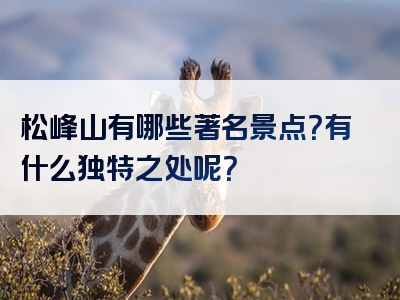 松峰山有哪些著名景点？有什么独特之处呢？