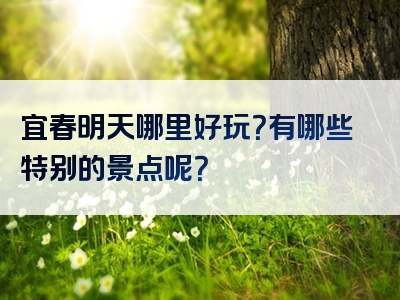 宜春明天哪里好玩？有哪些特别的景点呢？