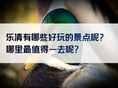 乐清有哪些好玩的景点呢？哪里最值得一去呢？