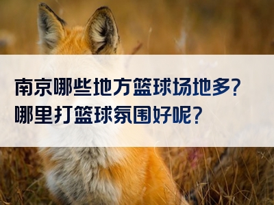南京哪些地方篮球场地多？哪里打篮球氛围好呢？