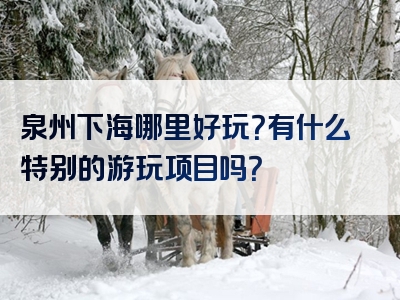 泉州下海哪里好玩？有什么特别的游玩项目吗？