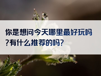 你是想问今天哪里最好玩吗？有什么推荐的吗？