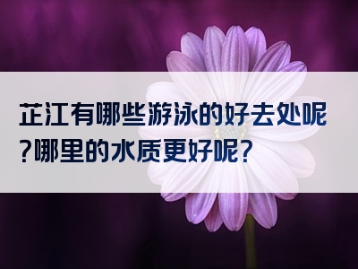芷江有哪些游泳的好去处呢？哪里的水质更好呢？
