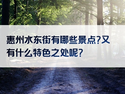 惠州水东街有哪些景点？又有什么特色之处呢？