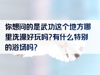 你想问的是武功这个地方哪里洗澡好玩吗？有什么特别的浴场吗？